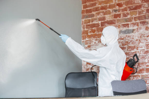  Clinton, OH Mold Removal Pros