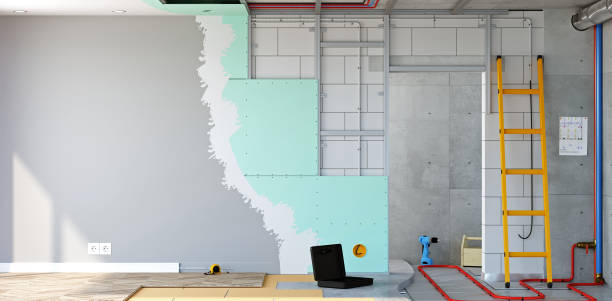 Best Emergency Mold Remediation  in Clinton, OH