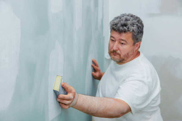 Best Environmental Consulting for Mold Prevention  in Clinton, OH