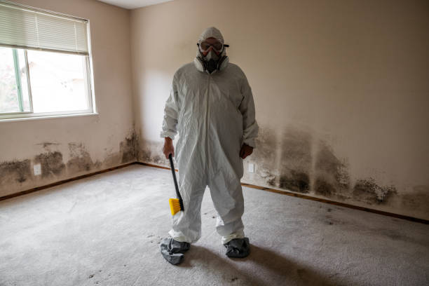 Best Crawl Space Mold Remediation  in Clinton, OH