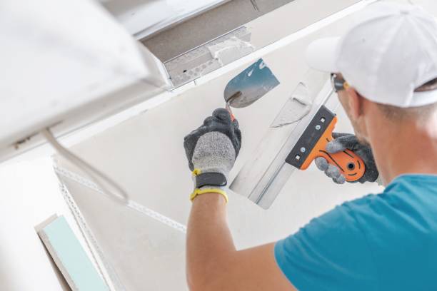 Professional Mold Removal in Clinton, OH